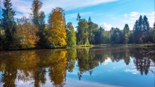 Blockaden und psychosomatische Beschwerden transformieren [upl. by Anika]