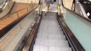 Schindler Escalators Near Sears Woodfield Mall In Schaumburg IL [upl. by Parcel630]