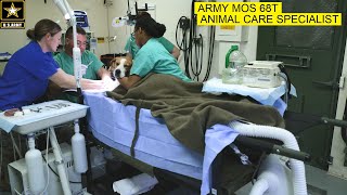 Army Veterinary Technician  68T  Animal Care Specialist [upl. by Loring221]