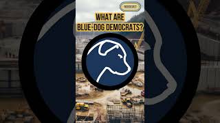 What Are BlueDog Democrats [upl. by John302]