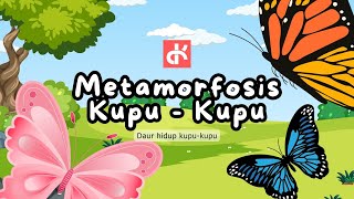 Metamofosis kupu kupu pengetahuan education [upl. by Ashraf]