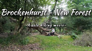 Brockenhurst  New Forest National Park  An ASMR Hiking Movie [upl. by Dominick]