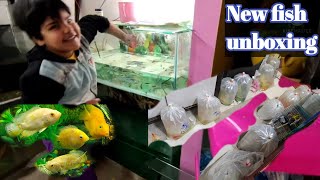 New fish unboxing with fun day sunday vlog [upl. by Botsford]