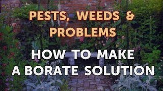 How to Make a Borate Solution [upl. by Ainitsirc]