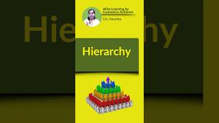 Hierarchy businessorganisationandmanagement management businessstudies commerce [upl. by Joscelin]