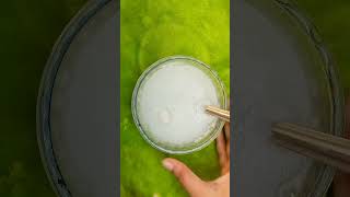 Home Made Rice Water For Glowing Skin ✨ 😘 shorts viralvideo trending rice [upl. by Rialc984]