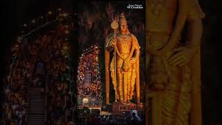 Vetri Vel Muruganukku Arogara 💛 ✨️ 🙏 shortvideo subscribe muruga devotional urumimelam 🙏🙏🙏 [upl. by Afnin]