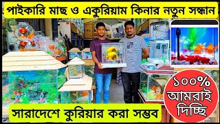 aquarium price in Bangladesh। aquarium fish wholesale shop in katabon। aquarium fish price। aquarium [upl. by Assirrec722]