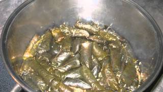 Moms Chaldean Dolma  Cooking Recipe  How to make The Best Stuffed Grape Leaves on Planet Earth [upl. by Mychael]