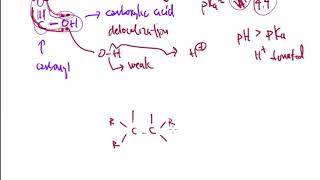 CTC 145 Trans Cinnamic Acid Part 2 [upl. by Eel]