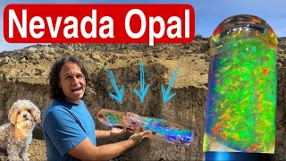 Explore the Royal Peacock Opal Mine  OPEN TO PUBLIC [upl. by Tniassuot]