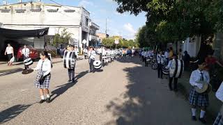 Baila negra  Banda Marcial colegió CIME [upl. by Zug]