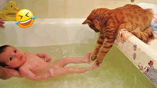 New Funny Animals 😂😁 Funniest Cats and Dogs Videos 😺🐶cutecatdog [upl. by Suoicserp]