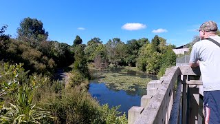 Van Dammes Lagoon Walk Auckland New Zealand [upl. by Zondra510]