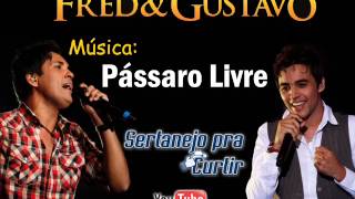 Fred e Gusttavo  Pássaro Livre Lançamento TOP SERTANEJO 2013  Oficial [upl. by Merle]