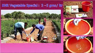 ICARIIHR A Short Documentary on High Yielding F1 Chilli Hybrid Arka Meghana [upl. by Lazos625]