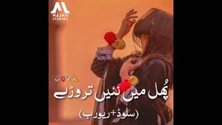 Phul Main Nahi Toray  Slowed Reverb  Sad Saraiki Song  Majnu Studios [upl. by Janet]