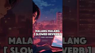 Malang Malang 😊  Lofi  Slowed  Reverb   The Rushan shorts [upl. by Anirod125]