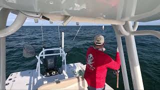 Fishing offshore and inshore in one day [upl. by Miehar]