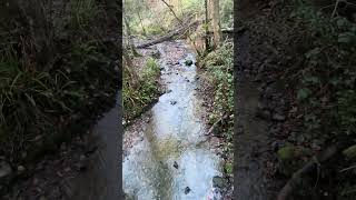 ASMR babbling brook [upl. by Ailis]