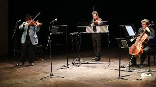 Balanescu Quartet quotPocket Calculatorquot Kraftwerk  Teatro Rossini Pesaro 03022024 [upl. by Clere]