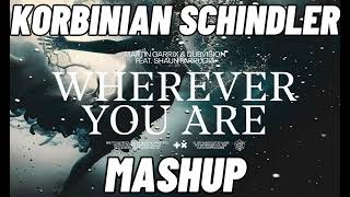 Martin GarrixampDubvisionampNicoampVinz  Wherever You Are Am I Wrong Korbinian Schindler Mashup [upl. by Ahsemed844]