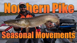 Northern Pike — Seasonal Movements [upl. by Grous35]