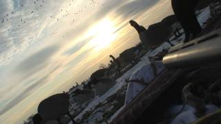 HD Barrel Cam Goose Hunting  Working a BIG old group of PA Canadas [upl. by Dazraf178]