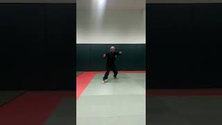 Anatoa  Part 8 Duma Metos axisBy Kung Fu GrandMaster Kamran Graminejad [upl. by Nereus]