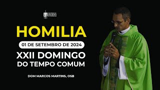 Homilia Dominical  XXII Domingo do Tempo Comum [upl. by Ahseit]