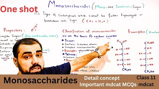 Monosaccharide  One shot Classification of carbohydrates  class 11  in Urdu  Hindi medium [upl. by Elhsa910]