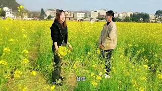 油菜花盛开的季节，油菜花满园绚烂，春季最美田园风光 [upl. by Merkle]