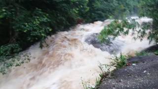 Kepala air di air terjun lata jarum raub pahang [upl. by Durtschi959]