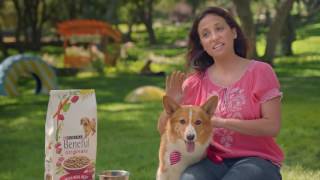 Beneful Dog Food with Real Beef as 1 Ingredient [upl. by Daloris]