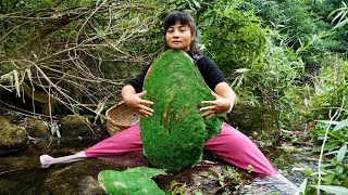 The girl opened a century old clam covered in moss and uncovered the mystery of an ancient treasure [upl. by Higinbotham738]