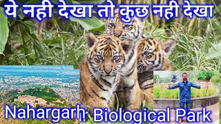 Nahargarh Biological ParkJaipur Zoo Lion Safari Jaipur Wild life Century [upl. by Kulsrud493]