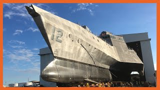 Why Does the US Navy Hate its Littoral Combat Ships [upl. by Rettke951]