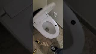 Smart Toilet Bidet [upl. by Aieka249]