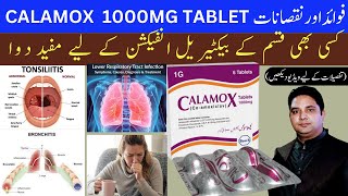 Calamox Tablet 1000 mg Uses Side Effcets in UrduHindi By Dr Shahzad official [upl. by Nalniuq]