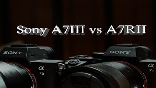 Sony A7III vs A7RII [upl. by Oruntha]