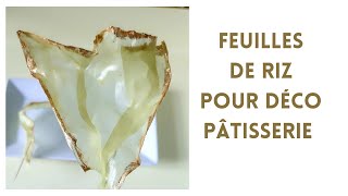 Feuille de riz décorée TECHNIQUE Cake design [upl. by Alaikim]