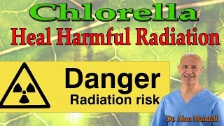 Chlorella The Healing Superfood Power to Harmful Radiation  Dr Alan Mandell DC [upl. by Ahseiym354]