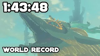 TOTK Master Sword speedrun in 14348 121 FWR [upl. by Branen112]