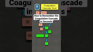 How to Remember the Coagulation Cascade in Seconds Pathway Made Easy [upl. by Lime]