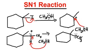 SN1 Reaction  Mechanism Protic Solvent Racemic Mixture  Organic Chemistry [upl. by Adaha]