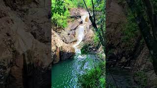 Eungella National Park  Finch Hatton Gorge waterfalls queensland mackay travel [upl. by Grider]