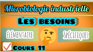 Microbiologie Industrielle cours 11 [upl. by Janie]