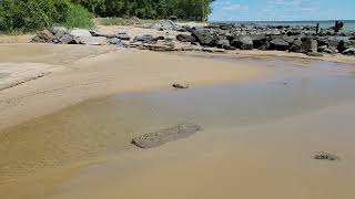 Driftwood Beach in Lusby MD [upl. by Lumbye]