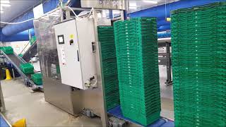 Retail crate destacking onto packing lines with automated accumulation [upl. by Sivaj]