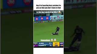 Best catch of ipl 24 by ramandeep Singh best catches in cricket This video is for entertainment p [upl. by Manoff155]